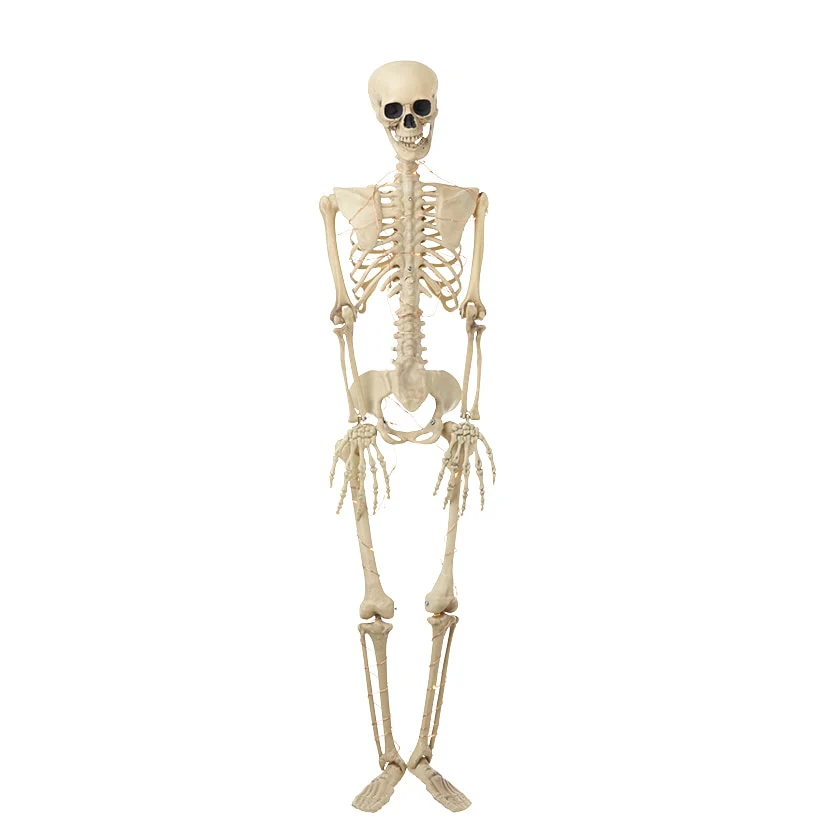 Halloween Skeleton Poseable Lighted Decor 16 Inch 35 Inch and 65 Inch - Image 6