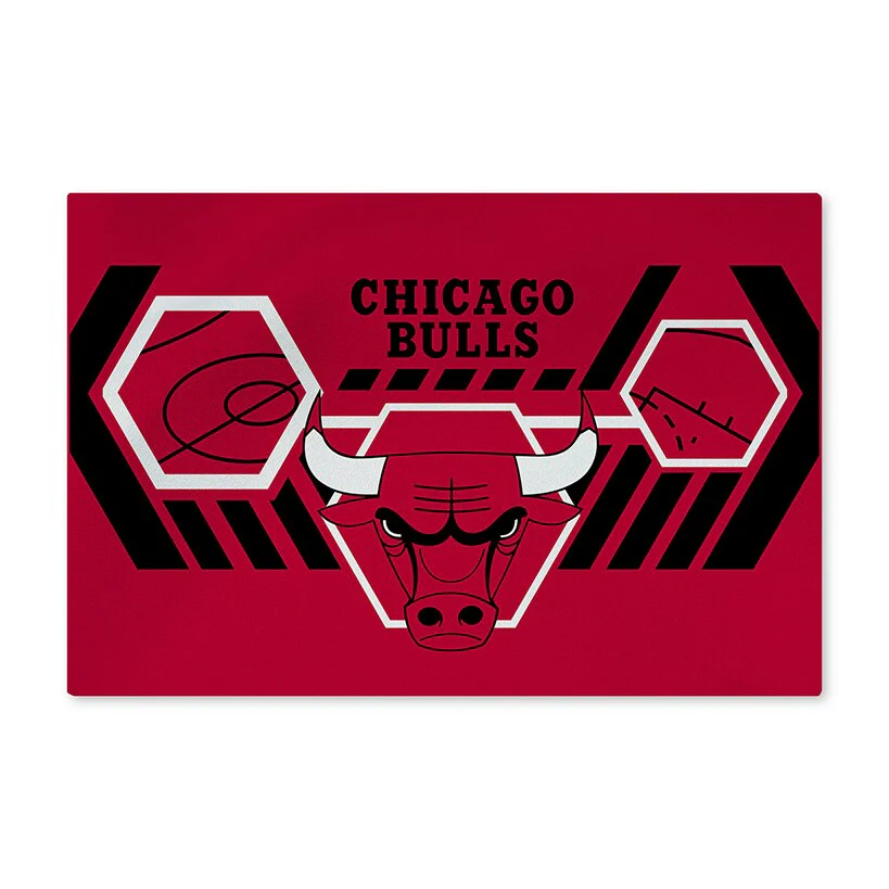NBA Agile Washable Rug - Image 3