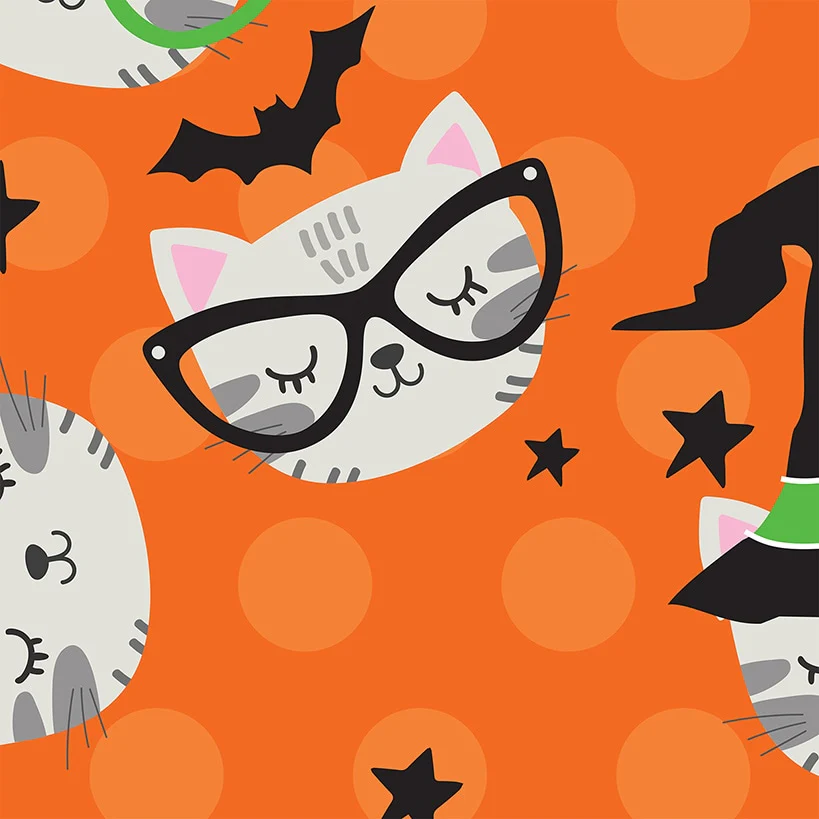 Personalized Halloween Cat Plush Blanket
