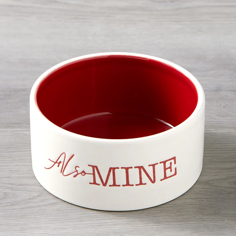 Dinner or Drinks Pet Bowl - Image 6