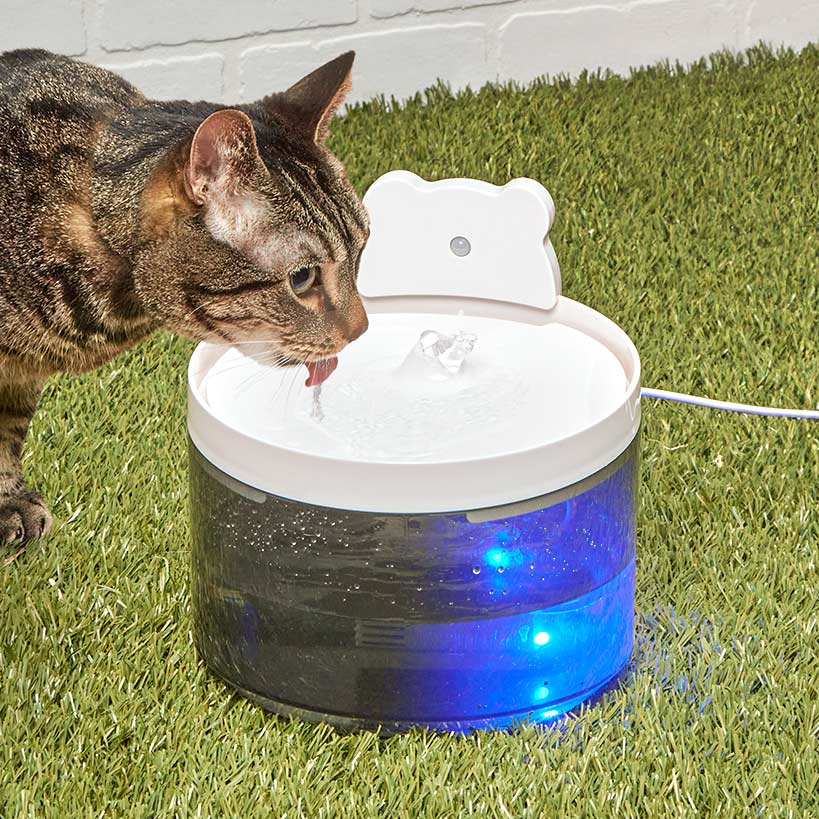 Pet Water Fountain - Image 3