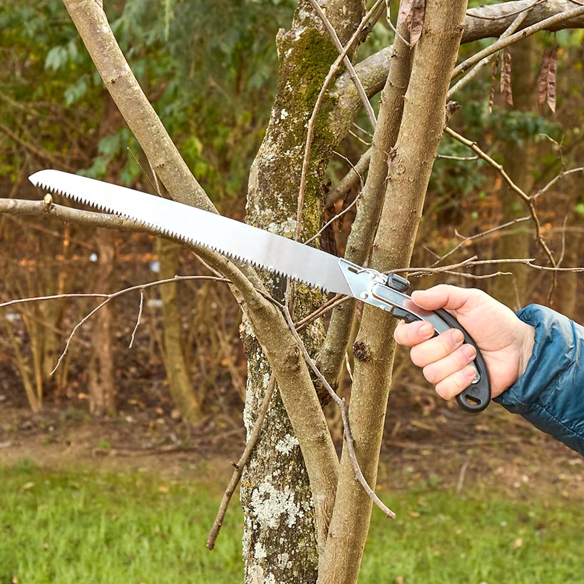 Pruning Gardening Hand Saw Tool